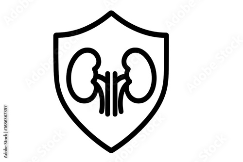 Kidney protection shield icon. Concept for urology, nephrology, dialysis and renal health care. Medical symbol for organ transplant or disease prevention. Vector outline logo.