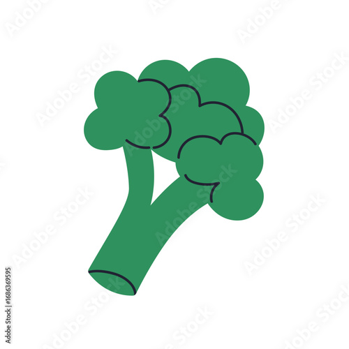 Broccoli vegetable head. Fresh green farm produce, natural organic vitamin fo...