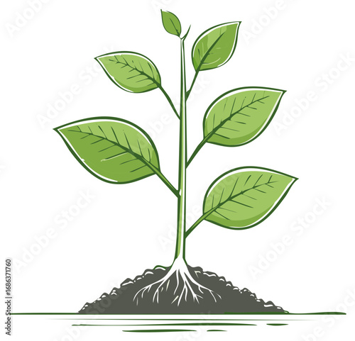 Green plant seedling with roots in soil illustrating growth and new life nature concept