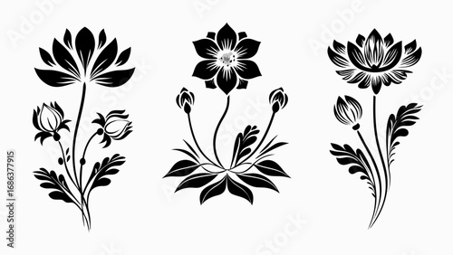 Elegant black floral designs add sophisticated botanical beauty to any creative project