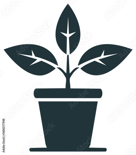 Green plant in a pot with leaves and stem, simple flat icon