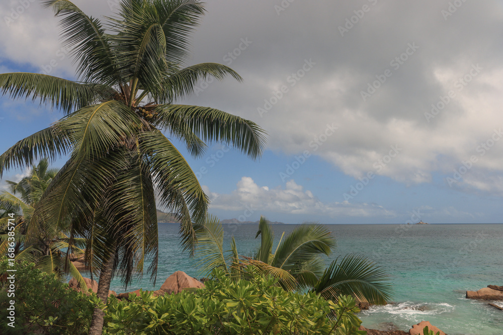 Fototapeta premium Tropisches Paradies La Digue; Blick im Norden der Insel auf das Meer