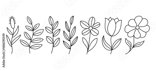 Collection of hand-drawn botanical line art elements on white background Keywords: botanical, plant, flower, leaf, branch, stem