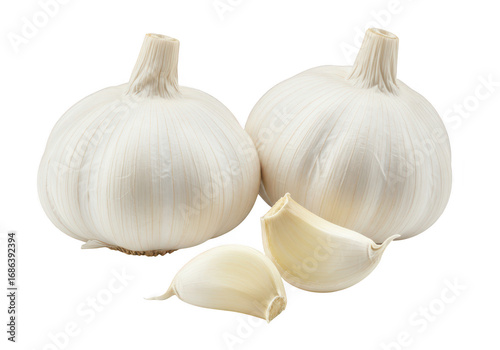 Two bulbs of garlic and three cloves isolated on transparent background