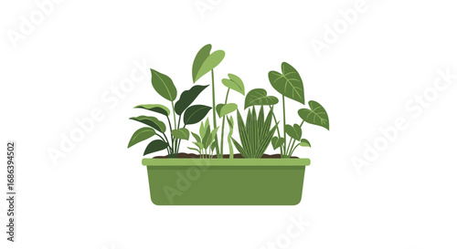 Modern indoor plant arrangement for home decor and interior design projects with fresh greenery