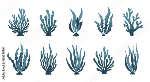 Beautiful hand-drawn seaweed illustrations for ocean, nature, and aquatic-themed designs