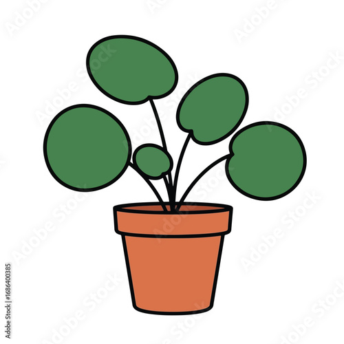 Illustration of a Pilea peperomioides plant in a pot.