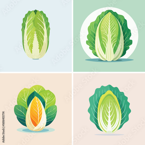 Napa Cabbage a fun and colorful ensemble of mixed vector graphics, full of vivid tones and modern abstract design elements