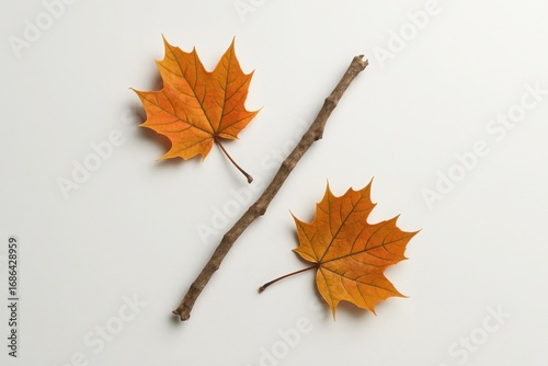 Autumn percent symbol made of twig and maple leaves on white background minimal concept for seasonal fall discount nature inspired promotion and eco friendly marketing visuals