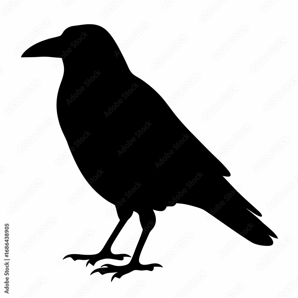 Fototapeta premium Black Silhouette Illustration of a Standing Crow Against a White Background