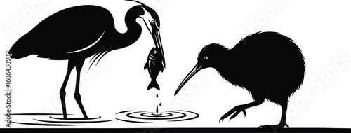A black silhouette of a heron catching a fish in water next to a kiwi bird, vector illustration