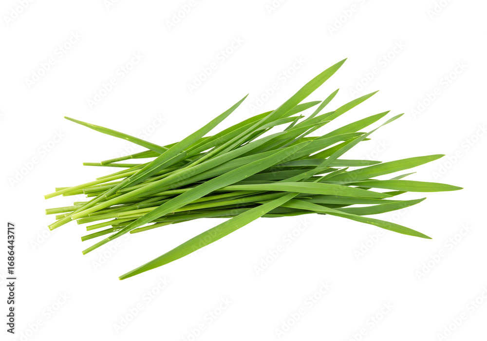 Fototapeta premium Fresh green grass blades on transparent background