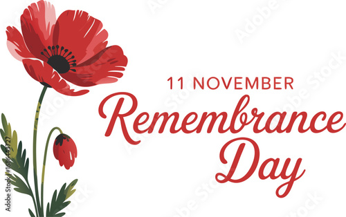 Remembrance Day Illustration with Red Poppy Flower and Bud on White Background, 11 November