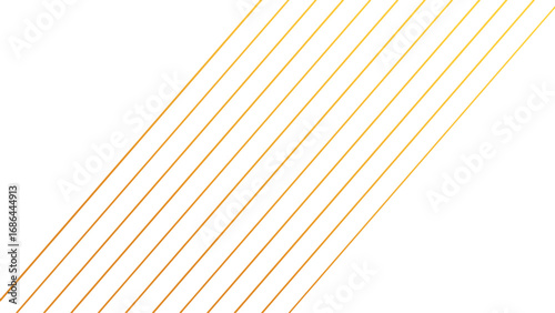 Luxury Golden line vector