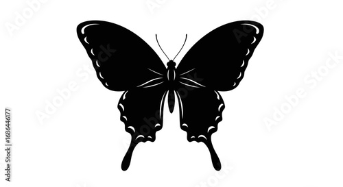 butterfly, insect, wings, nature, animal, flight, moth, garden, pollinator, species, beauty, fauna, wildlife, biology, delicate, creature, evolution, ecology, life, symmetry, pattern, decoration, symb