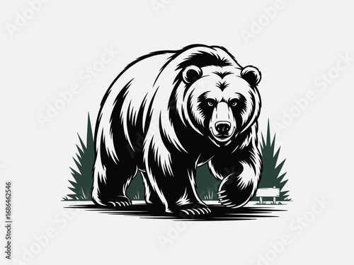 Illustration of a bear the bear is black and white and is walking forward the bear has a large body and a small head