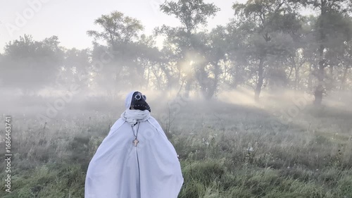 
Misty autumn morning field with plague doctor mask