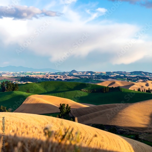 Wallpaper Mural Rolling hills at sunset, golden fields Torontodigital.ca