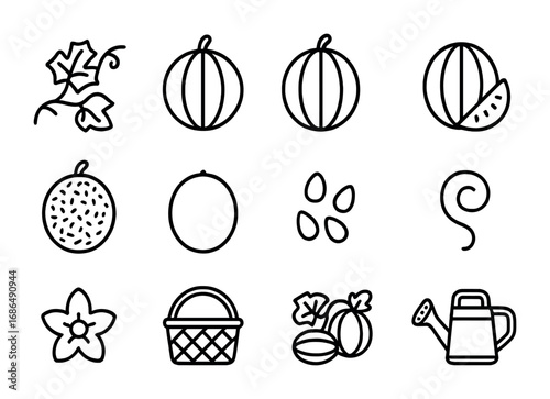 Melon Growth Icons. Outline icon set of melon growth: watermelon vine, green melon, ripe watermelon, sliced