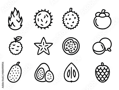 Exotic Fruits Icons. Outline icon set of exotic fruits: dragon fruit, rambutan, durian, mangosteen, lychee,