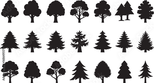 Set of pine trees silhouette. Hand drawn silhouette of fir tree. Large collection of Christmas tree silhouette. Vector illustration
