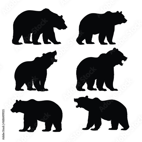 A collection of detailed black silhouettes of bears in different positions, including walking, standing, and roaring. Ideal for use in designs related to wildlife, nature, and animals.