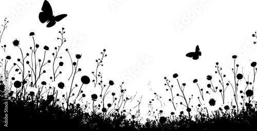 Elegant Black and White Butterflies in a Minimal Meadow