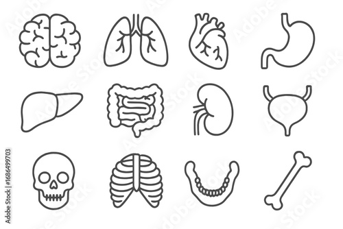 Internal organs, teeth, and bones outline collection, simple linear style. Editable stroke vector illustration for websites, books, cards, apps. Medical anatomy icons set.