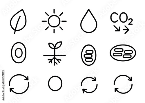 Photosynthesis Icon Set. Outline icon set of photosynthesis: leaf, sun rays, water droplet, carbon dioxide