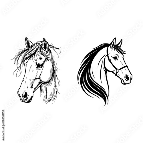 Illustration of two horse heads isolated on white background, one realistic and one stylized
