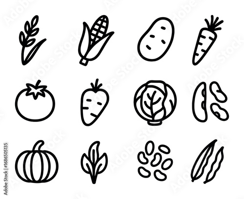 Crop Diversity Icons. Outline icon set of crop diversity: rice, maize, potato, carrot, tomato, cabbage,