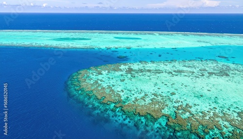 Aerial View of a Vibrant Coral Reef Mosaic in Turquoise and Blue Waters