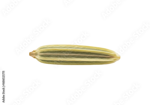 Wallpaper Mural Close-up of a pale yellow and green cumin seed, exhibiting intricate striations and a smooth, elongated shape against a black background. Torontodigital.ca