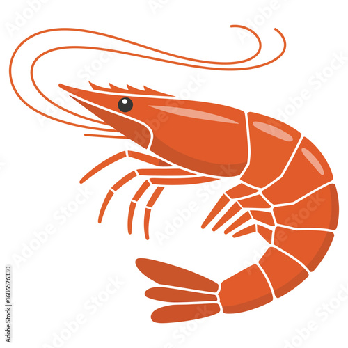 shrimp on white background