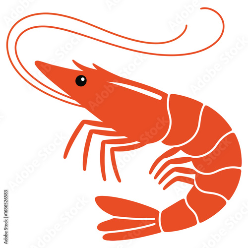 shrimp on white background
