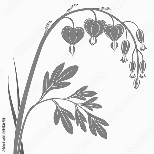 branch with heart dicentra spectabilis white