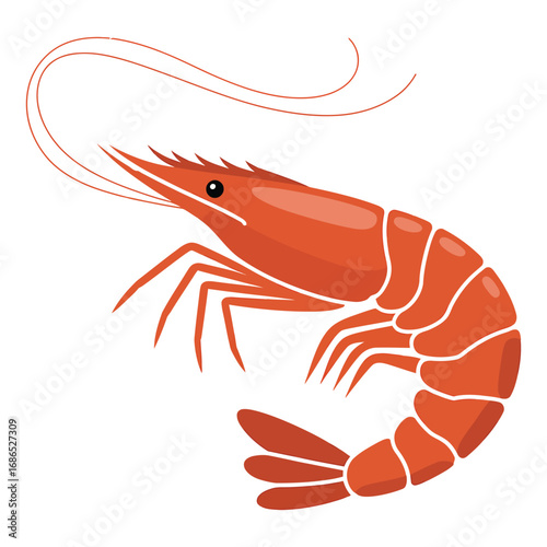 shrimp on white background
