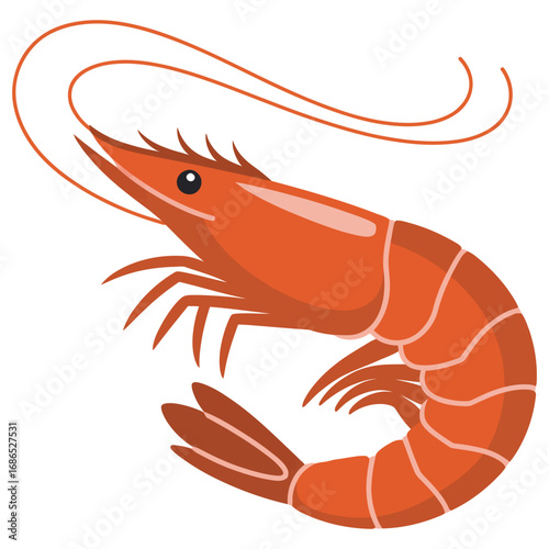 shrimp on a white background