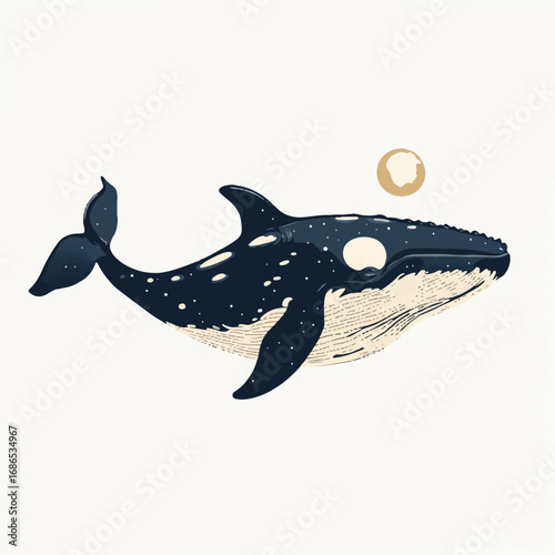 Orca whale illustration with a pearl in the sky.