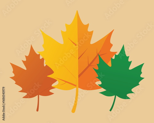 Colorful Maple Leaves Illustration Representing Autumn Season and Changing Colors of Nature