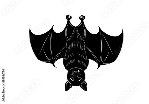 Unique black bat silhouette hanging upside down, perfect for Halloween or spooky projects