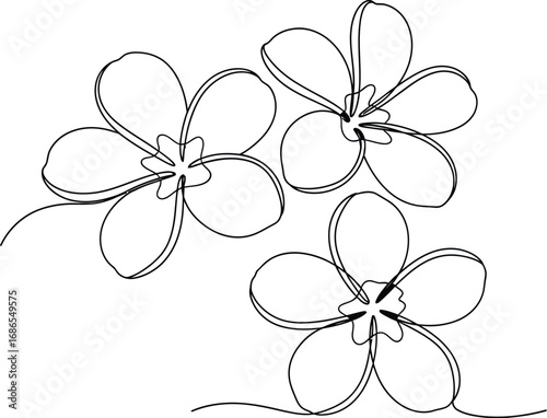 Delicate single line drawing of three blooming flowers, representing simplicity and natural beauty.