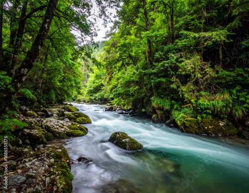 Tranquil Motion of River Flowing Through Lush Green Forest Landscape