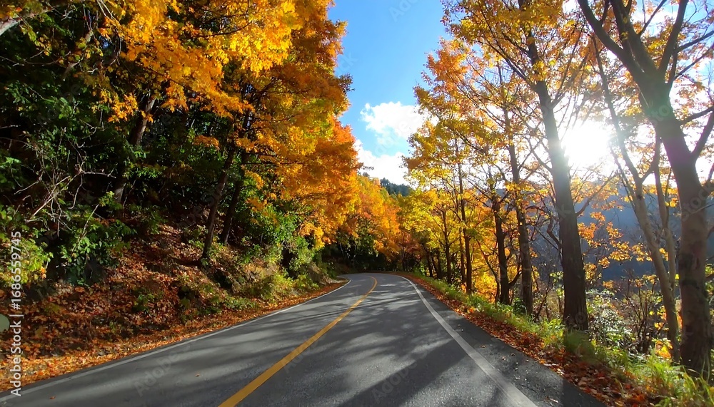 Fototapeta premium Sunlit autumn road through vibrant foliage