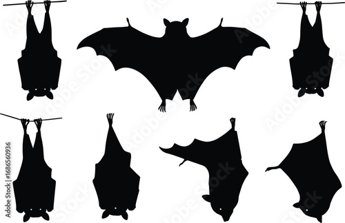 Bat silhouette set, flying and hanging poses, nocturnal animal vector for anatomy, nature, Halloween, and design reference elements