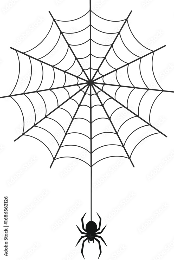 Obraz premium Spiderweb with spider halloween decoration with spiderweb and hanging spider spooky cobweb with insect for halloween party