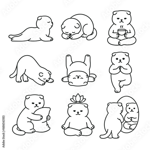 Scottish fold cat yoga vector icon set with playful poses  