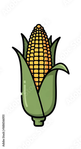 Fresh Corn on the Cob Illustration.