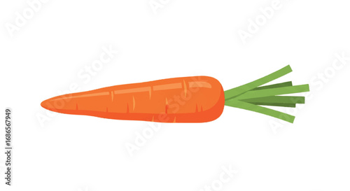 Fresh Organic Carrot with Green Leaves 1.
