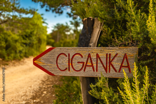 Fototapeta Naklejka Na Ścianę i Meble -  A sign informing about the trail leading to the wild beach of Cyganka on the island of Rab in Croatia